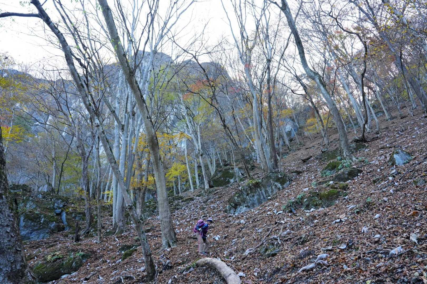 立処山 往復コースの写真