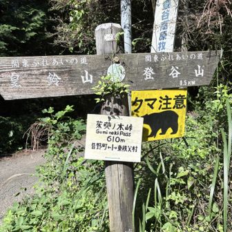 ぐみのきとうげ
と読むんだね