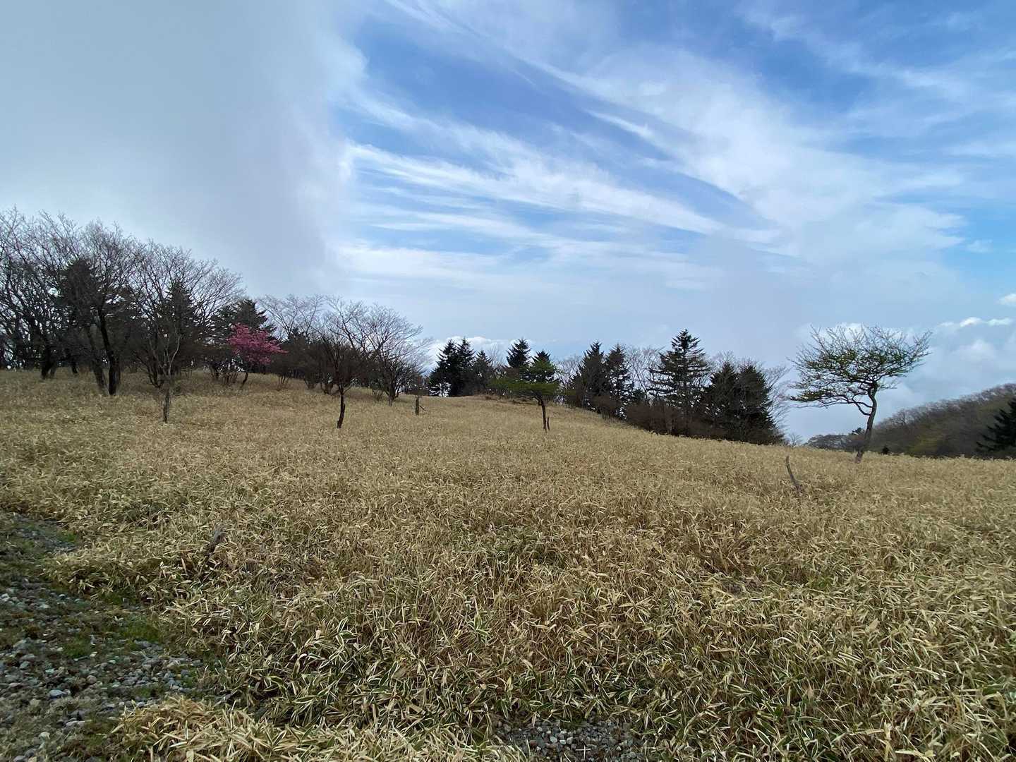 八方ヶ原大間々台登山口-ミツモチ 周回コースの写真