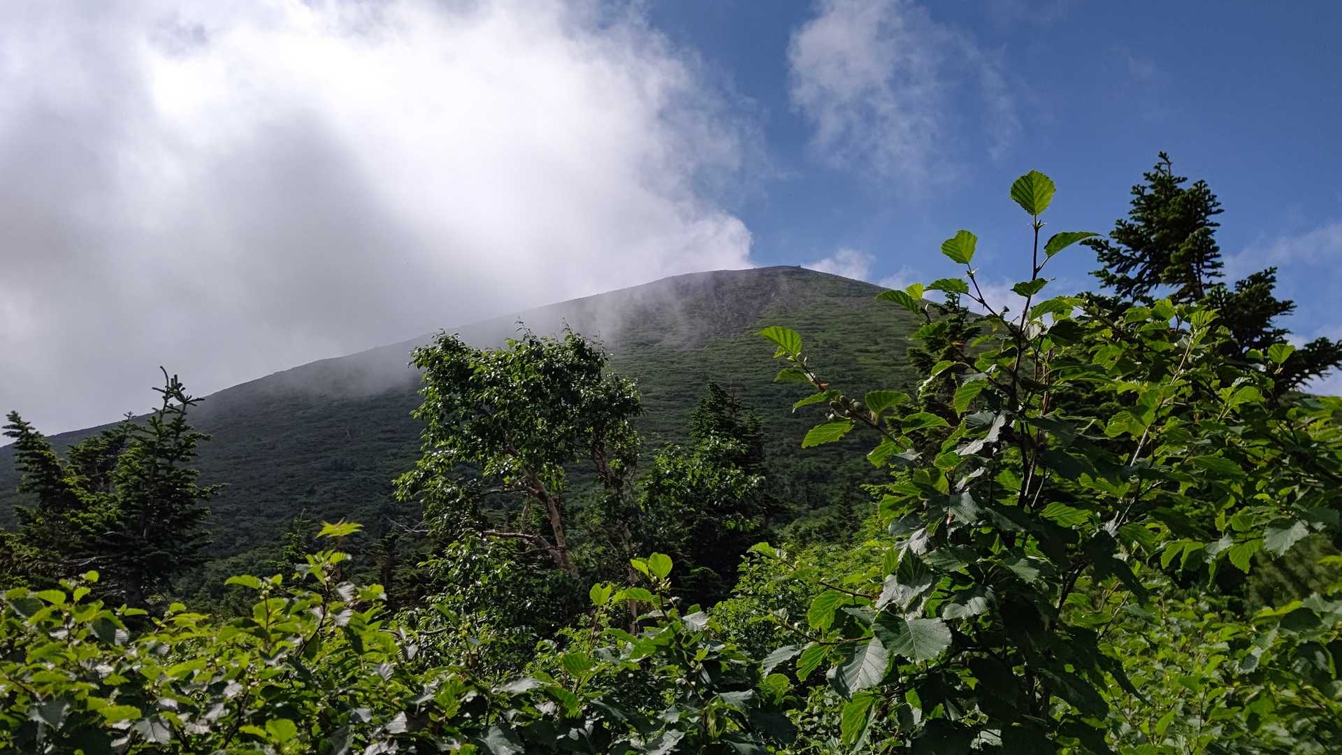 山頂が！雲が切れて岩手山が姿を現した！