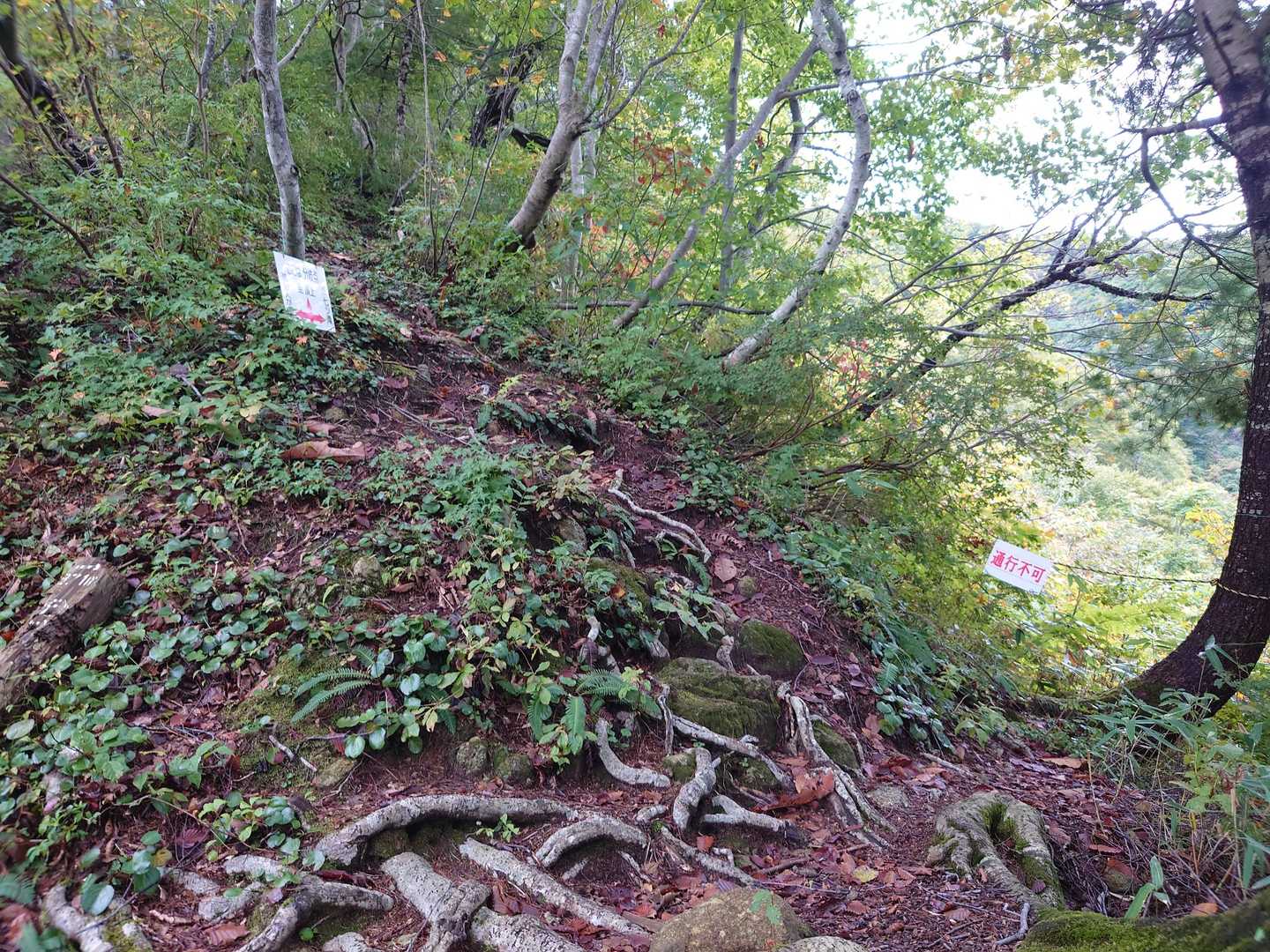 永遠急登が続きます。奥の滝に行く道は通行止⛔