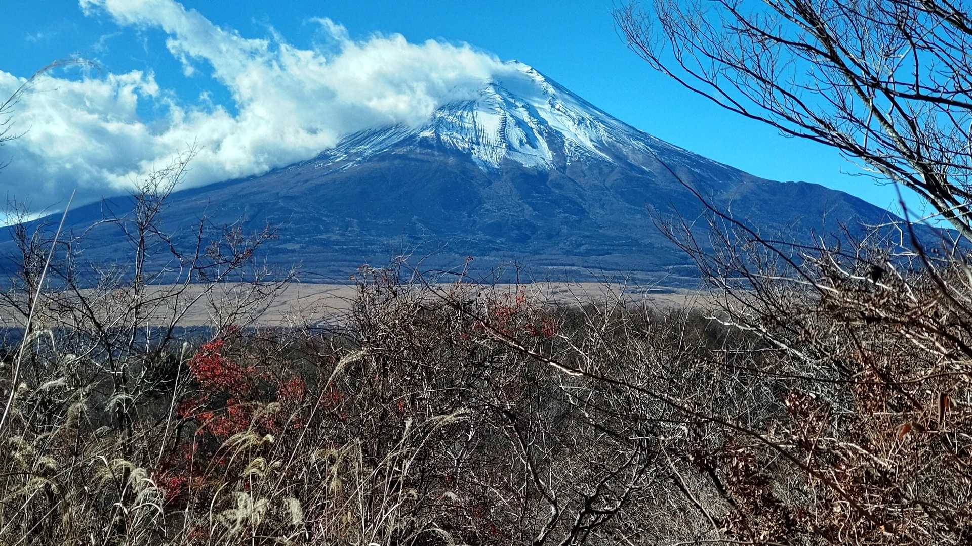 からの富士山🗻