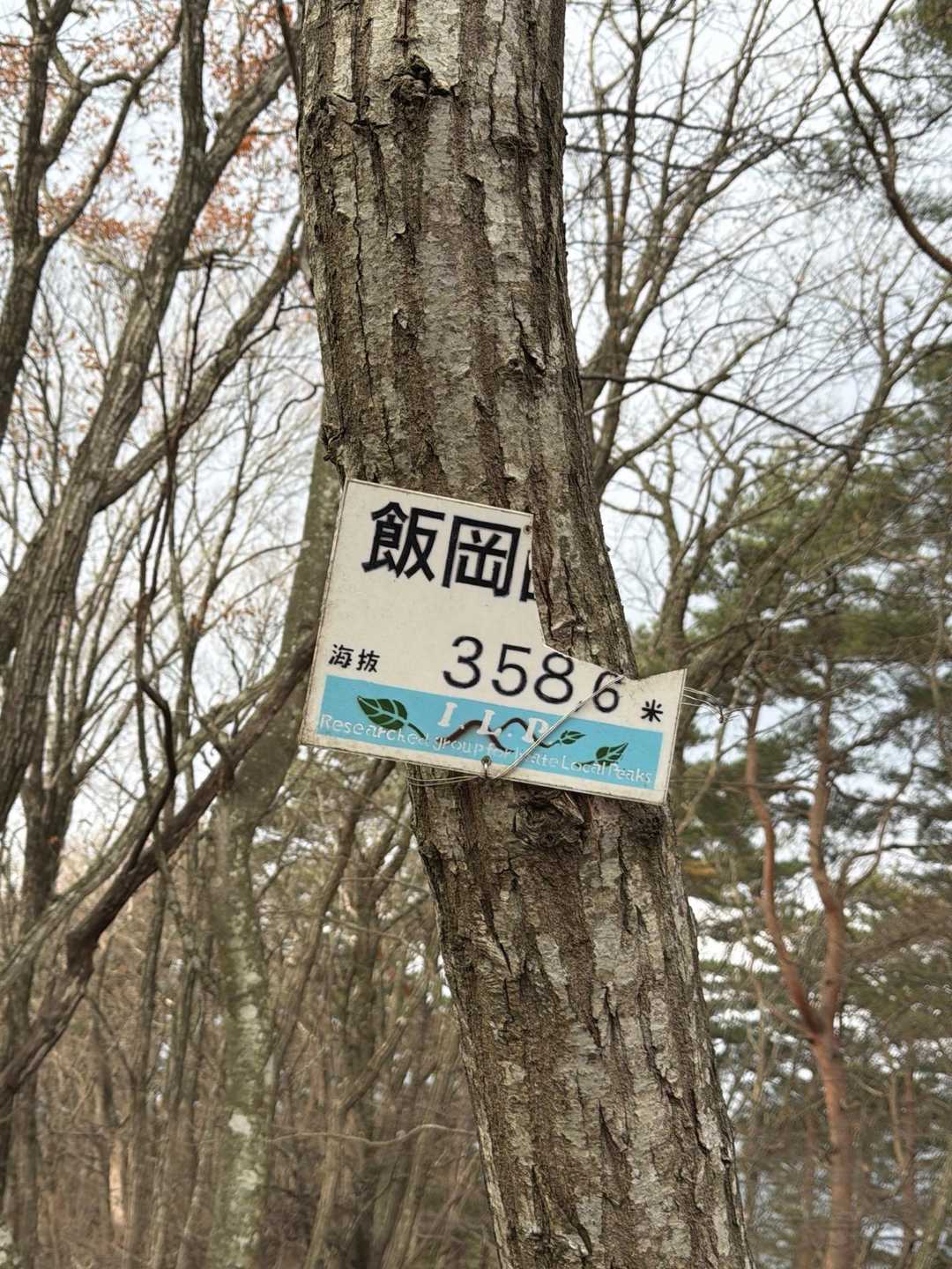 飯岡山登頂🙌