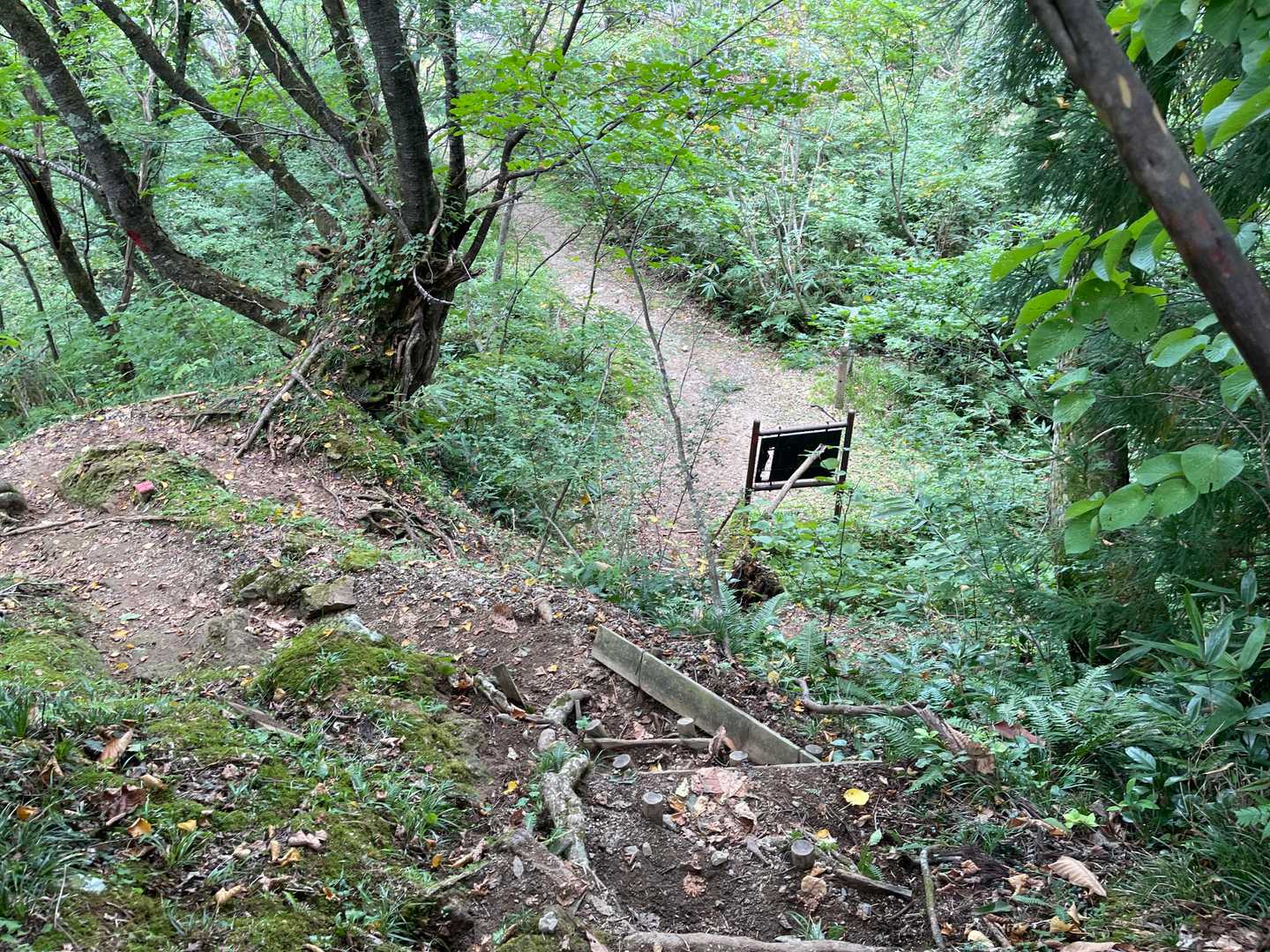 やはり早月尾根の下りも半端なかった
下山できたのは
早月小屋出発して約6時間後
これだけ長時間下ってきた尾根を逆に登った
事自体びっくりです