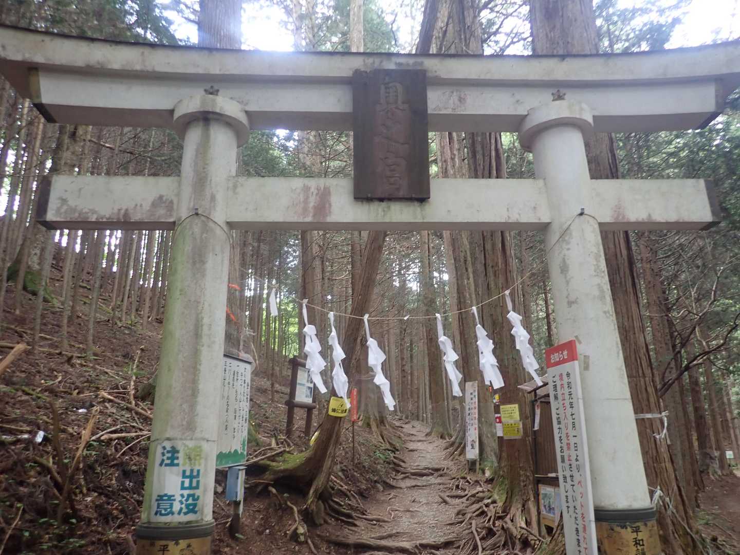 登りの時ではスルーしてしまった鳥居。手前にカウンターがありました。