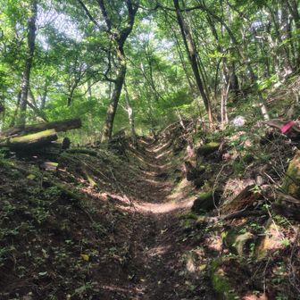 えぐれた歩きにくい道を登ります💦