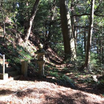 階段下に戻り、東方向、ちょっと心配な道でしたが、周回コースはこちらでした。