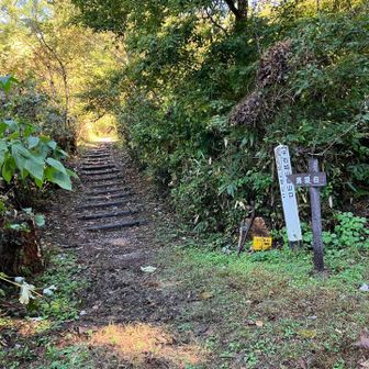 登山口です。
