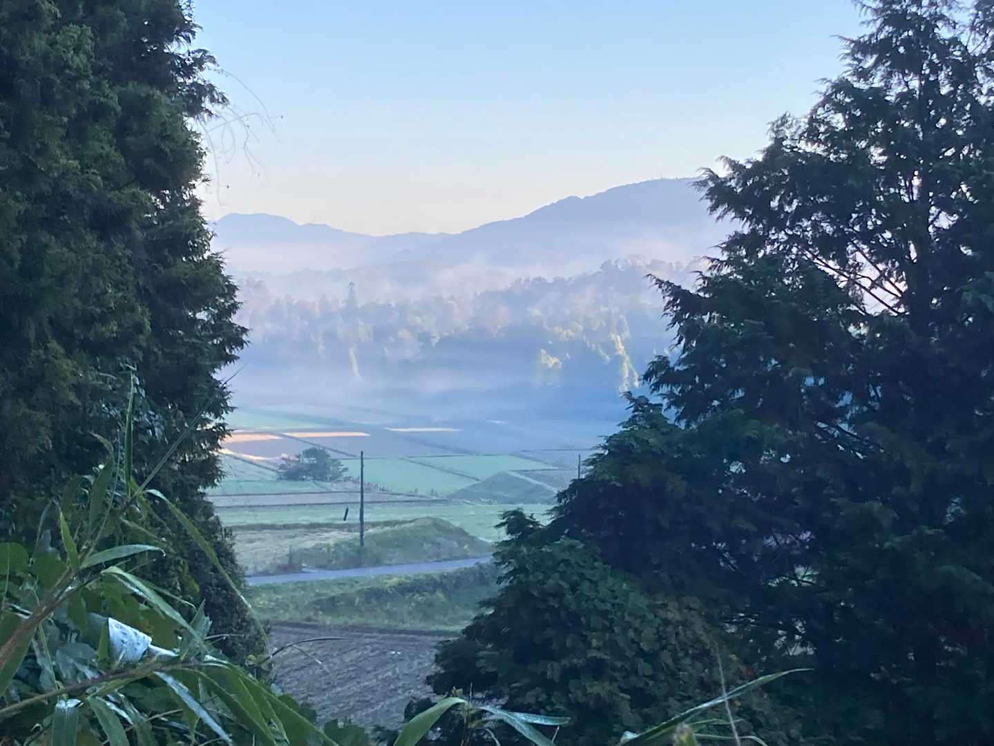 小川城山 往復コースの写真