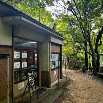 櫻茶屋🍵ちょうどいいところにある笑