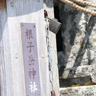 お賽銭箱の横に神社の名前が⛩️