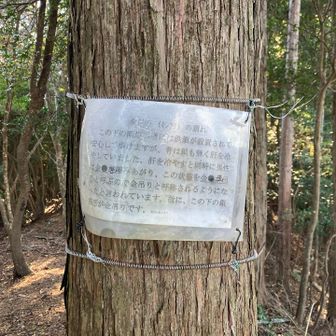 怖い場所を想像していたけど金吊りの手前にはベンチがあり好展望、心を落ち着けて通過します