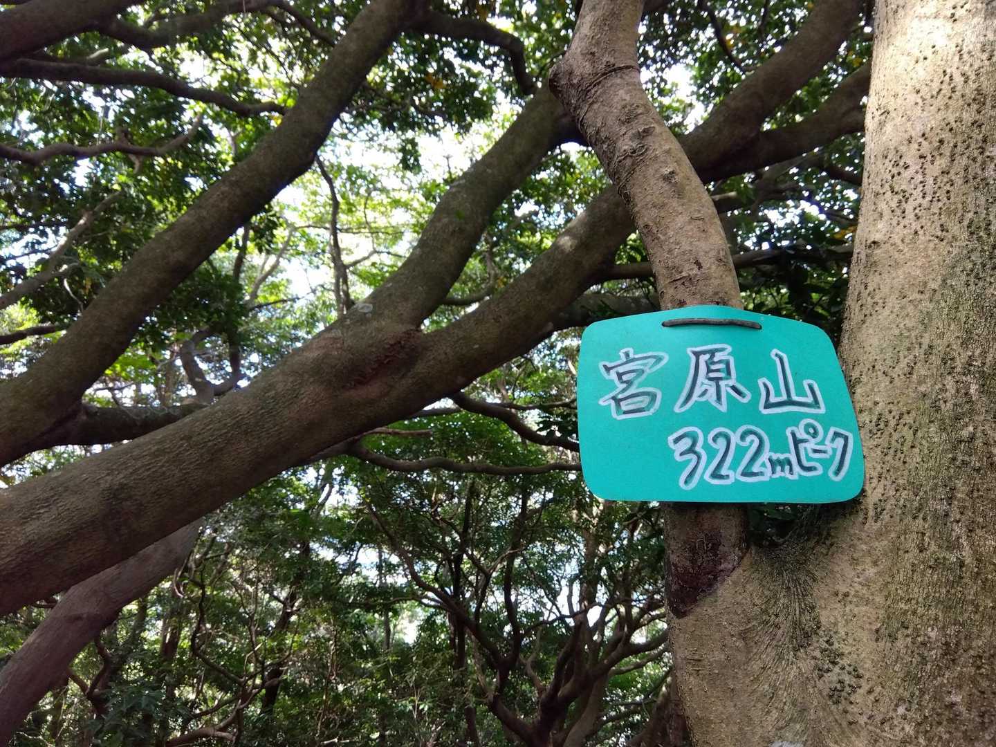 宮原山⛰️山頂✨