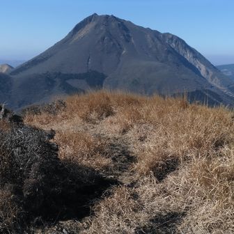 由布岳を見ながら、お昼ご飯食べて