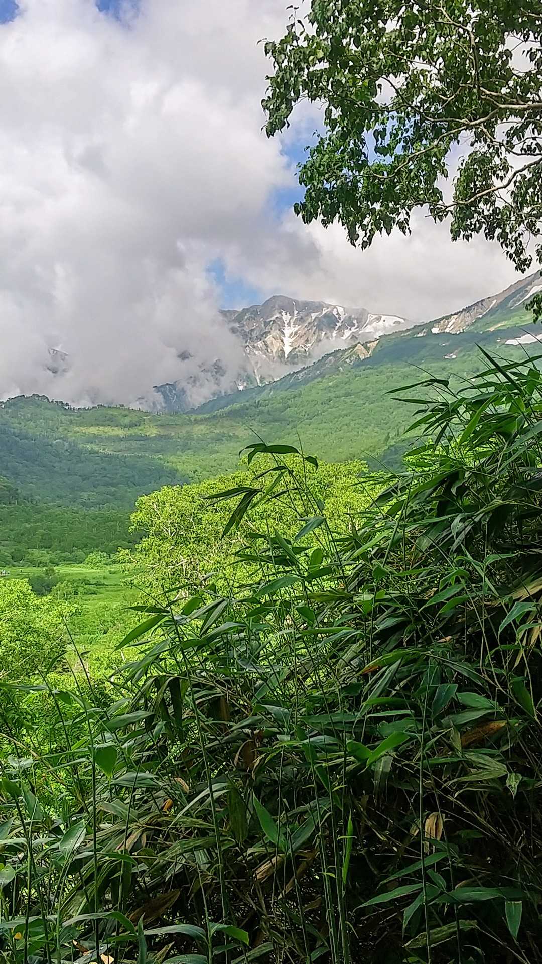 栂池自然園の登山口 往復コースの写真