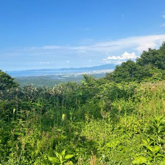 山頂から青森市内
