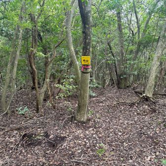 和田山（南山）ピーク