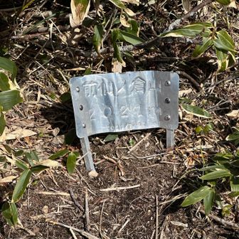 見逃しそうな山標