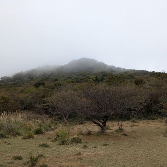 荒山高原から見る薪山方面、また来るね〜👋