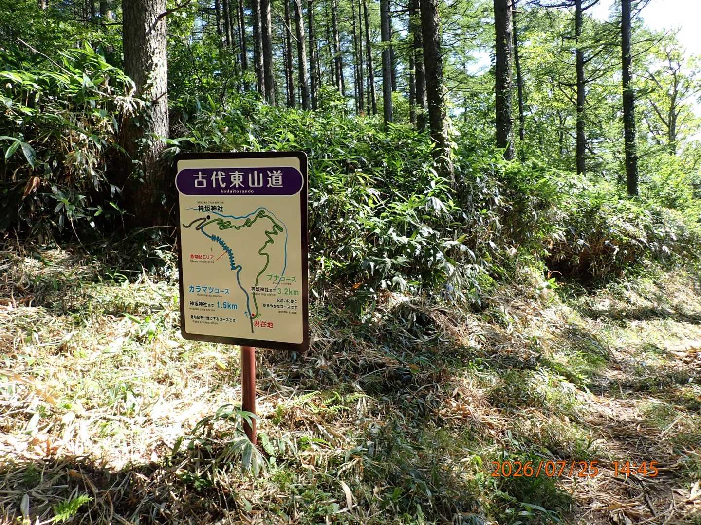 登りは急勾配のカラマツコースだったが、下りは緩やかなブナコース（右側）で駐車場へ戻ることにします♪
