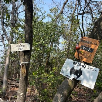 暗くてうっそうとした道を辿って
本日最後の山(と、この時は思っている)妙光寺山、到着