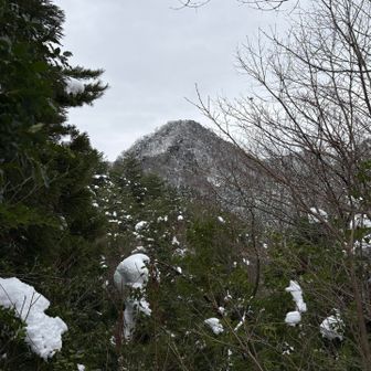 展望台から
パシャリ📸