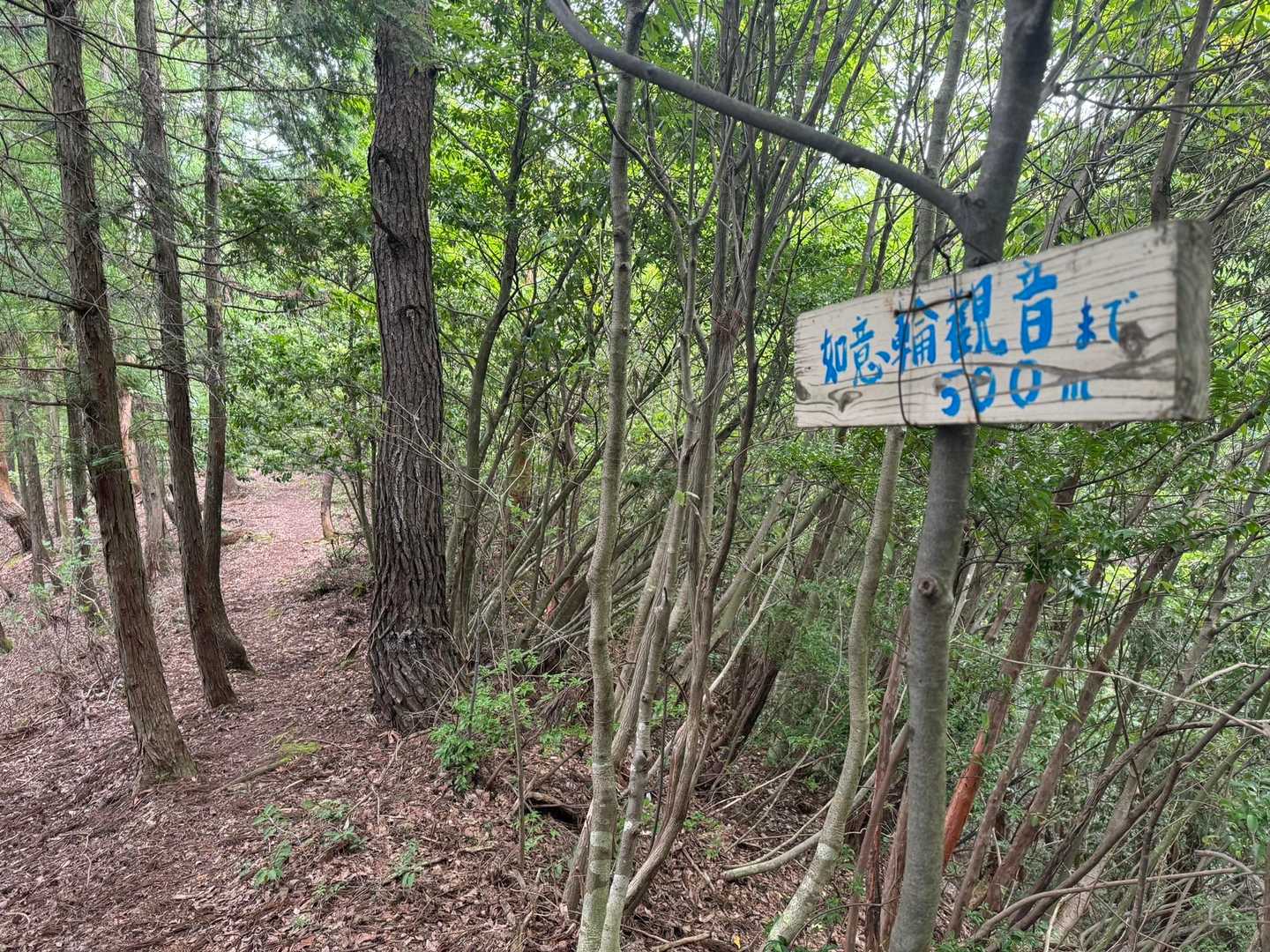 如意輪観音に向かう。