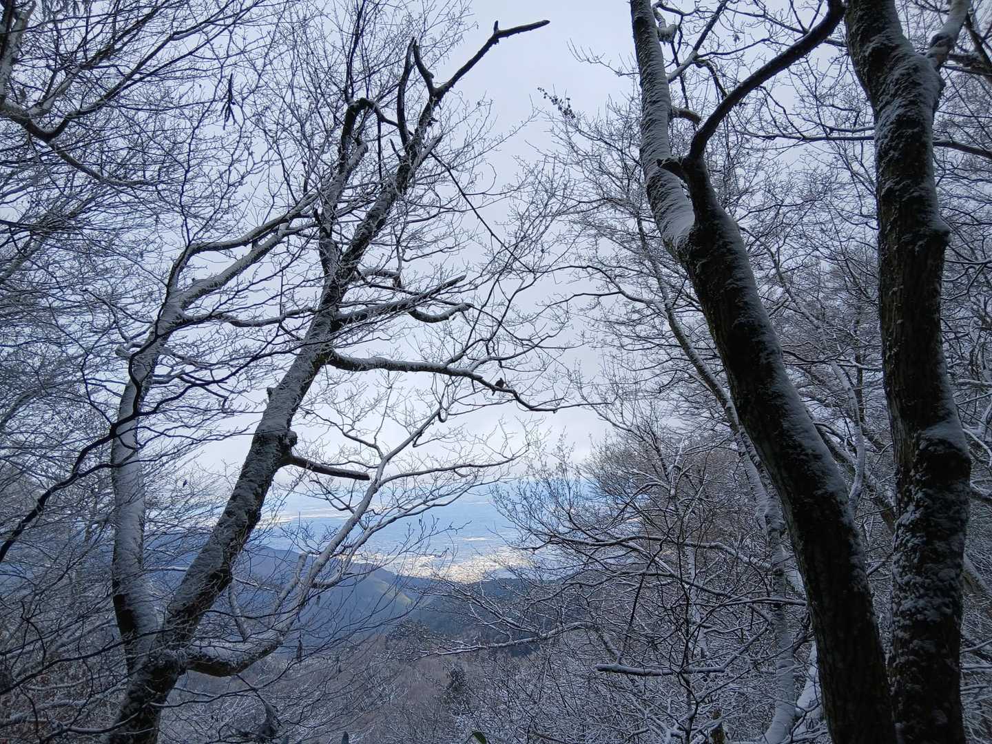 山頂は真っ白やったけど
この辺りから眺望👀