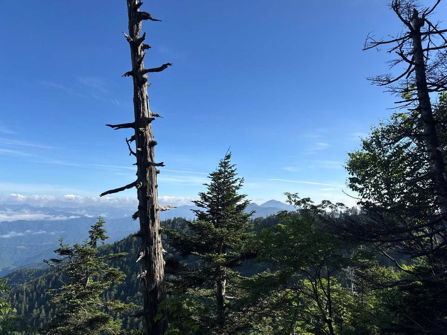 至仏山