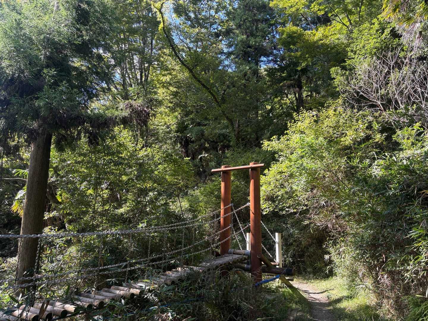 五月山 往復コースの写真