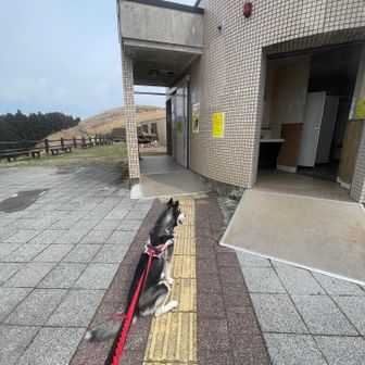 主出てくるのを待ってる😍