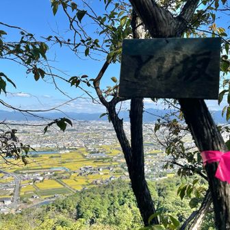 鶯(うぐいす)塚だと思ってました…鳶(とび)塚だったのね