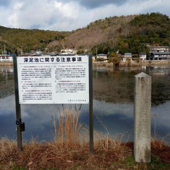 深泥池