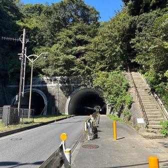 切り通しを越えて、トンネルのそばに合流ー。