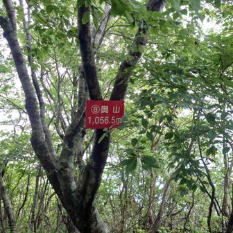 奥山山頂