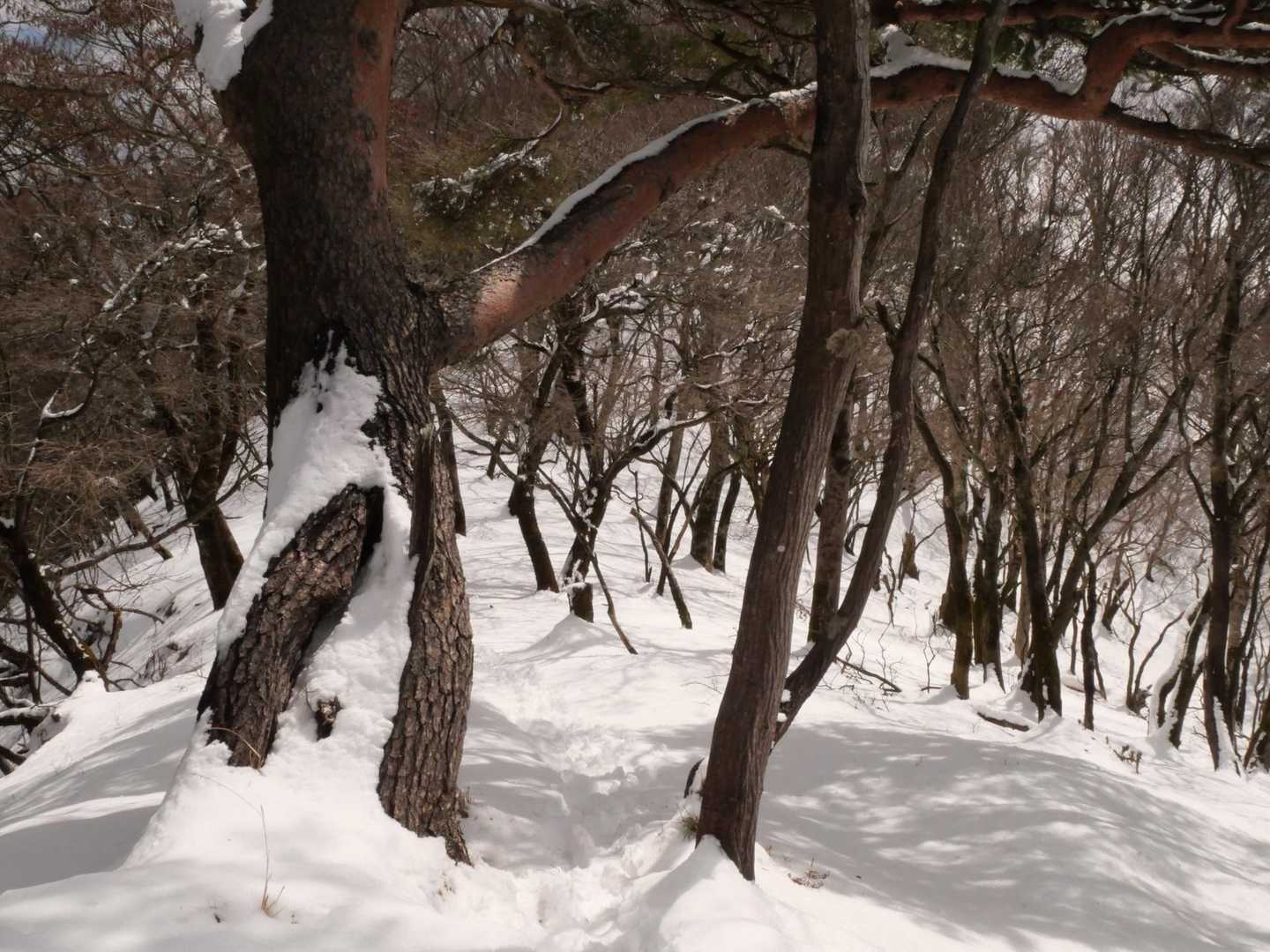 ふかふかです