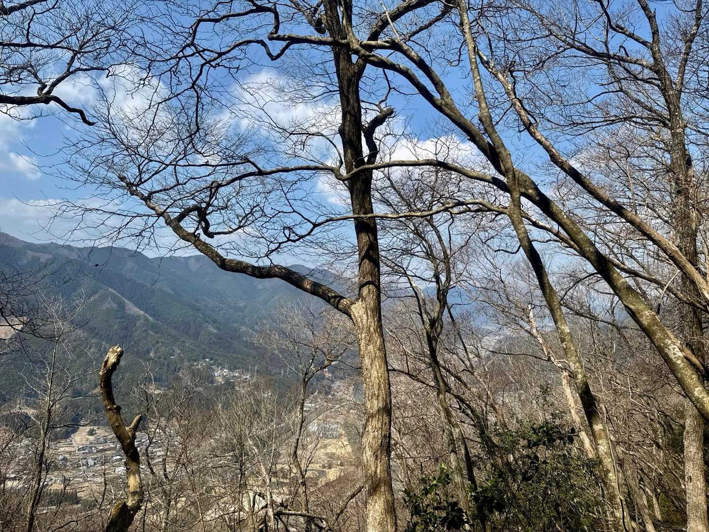 頂上からの景色
木が邪魔です😆