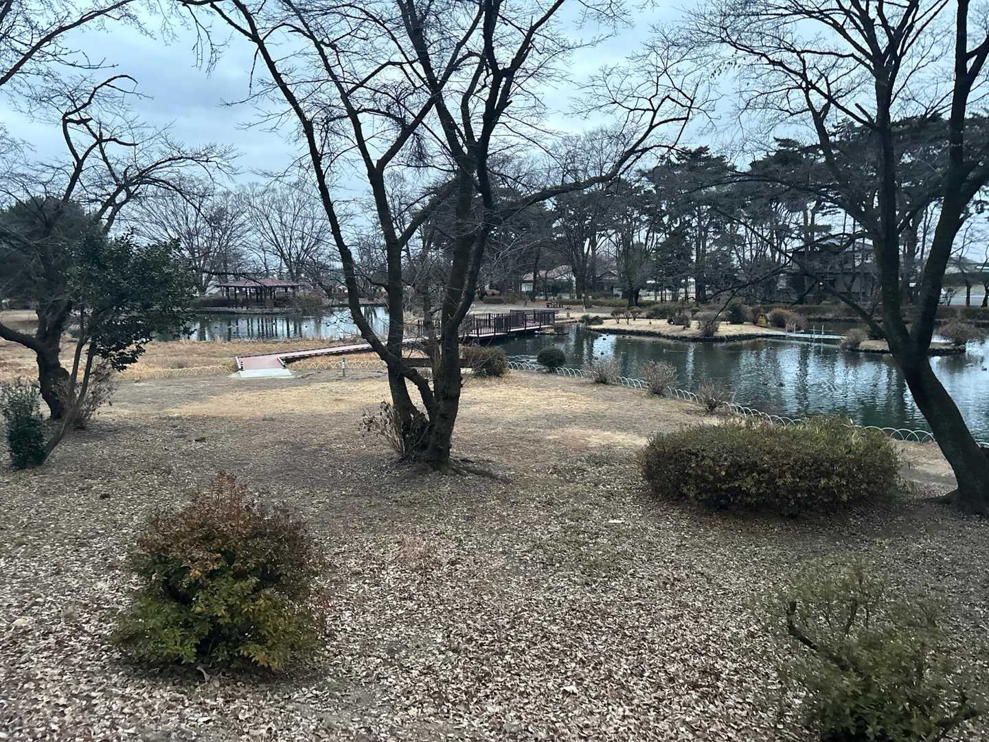 少し雪降って来たな