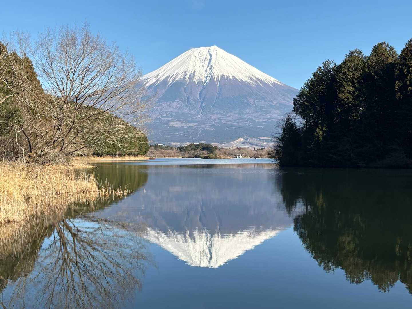 このテラスから、逆さ富士山！
人生で初めて見た〜！
ここから、4月20日頃と8月20日頃にはダイヤモンド富士も見れるらしい！
ということは、条件が揃えば、逆さダイヤモンド富士も見れる！！！凄すぎ！！！