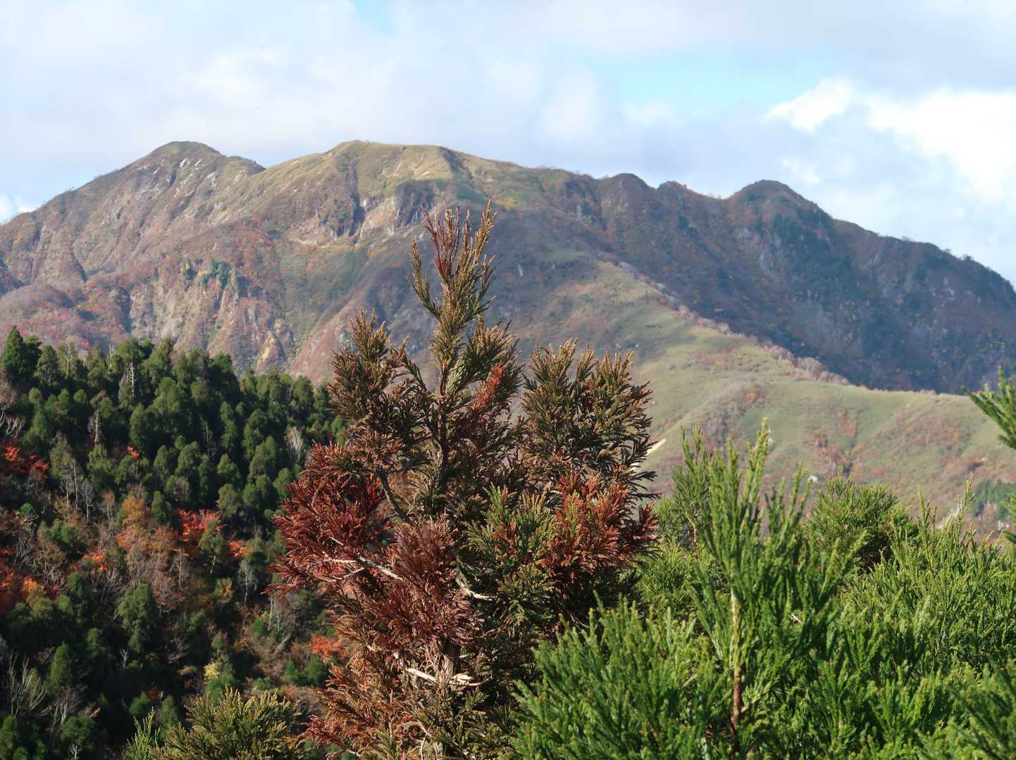 途中の峰から西の金草岳と白倉岳を望む。