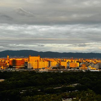 明日は堺の友達と遊ぶ。
次の日は東大阪の友達と。

もしかして、歩いて行けるんちゃう⁉️
ほんまや、歩けるな🙄❗️
遊ぶ時間無くなるわー🫲🤣
