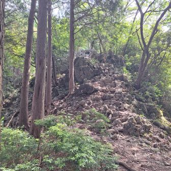ごつごつの岩山が！
ここ登るの？