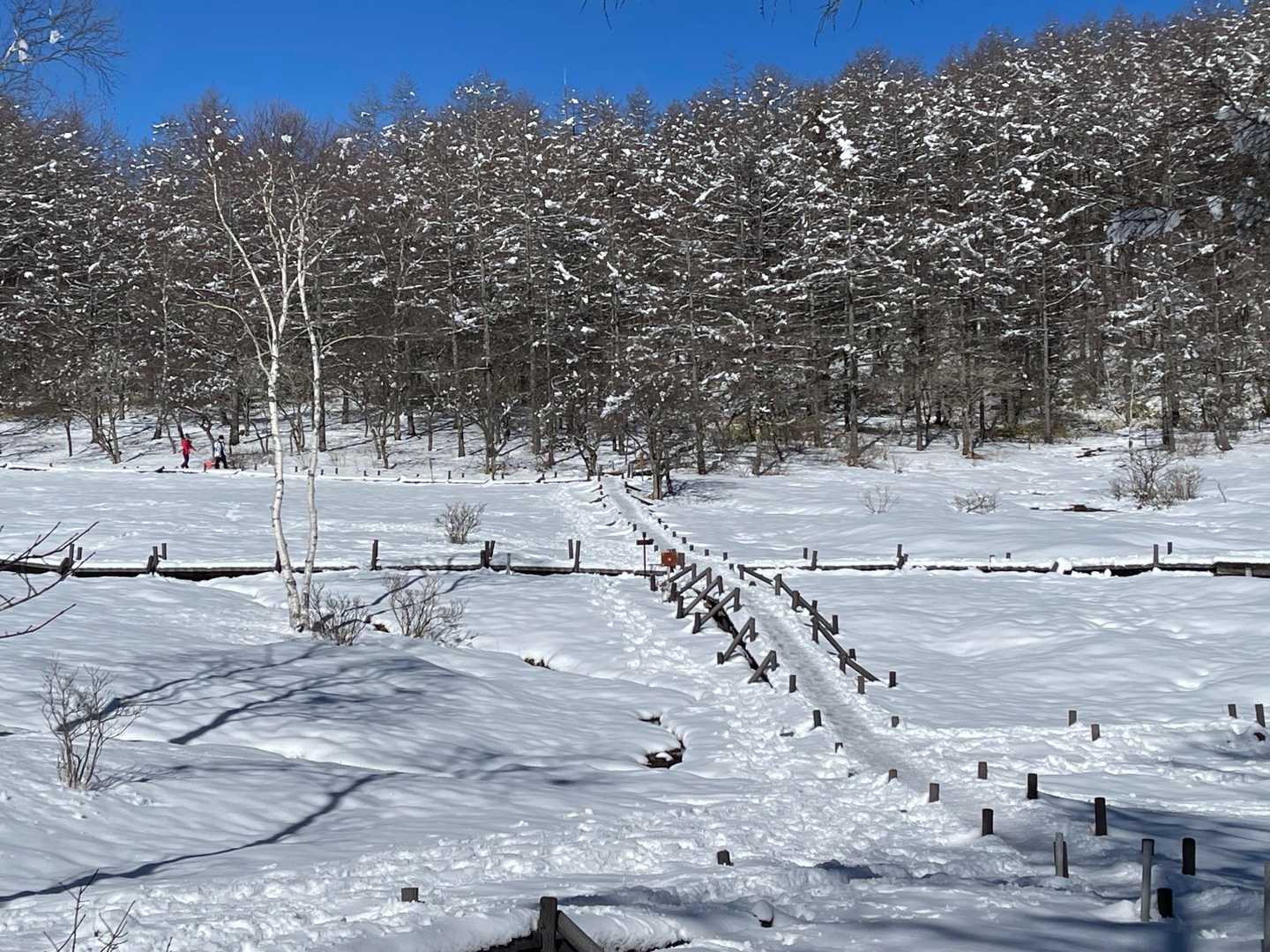 すずらん群生地の入笠湿原も、積雪で真っ白。
昼の陽気で雪質は柔らかく、ノーアイゼンで歩ける。
16時が最終ゴンドラなので、この時間帯は人は少なめ。