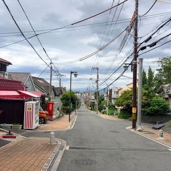 あとは駅まで真っ直ぐ下るだけ。。。