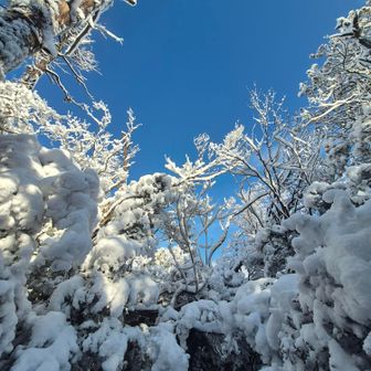 今日もいい天気🌞😊