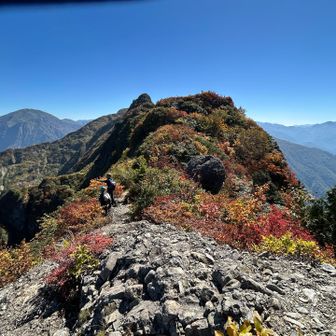 八ツ峰の始まり始まり😱