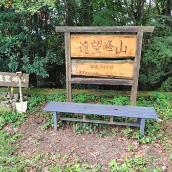 次の山頂、遠望峰山（443m）に着きました。本日の最高地点です