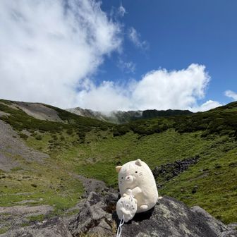 山頂付近の火口で