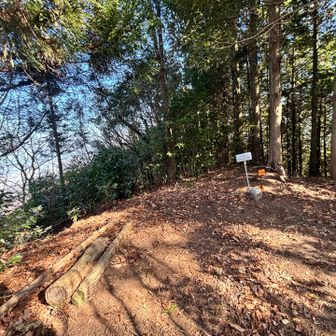 頂上の景色はほとんどない。