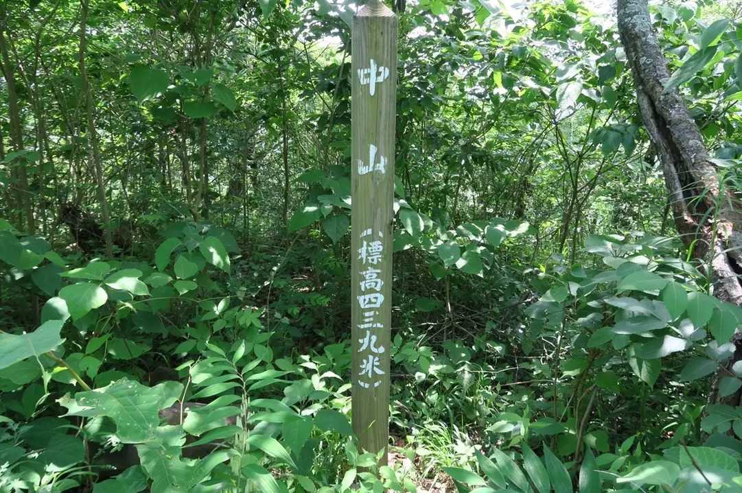 中山の写真